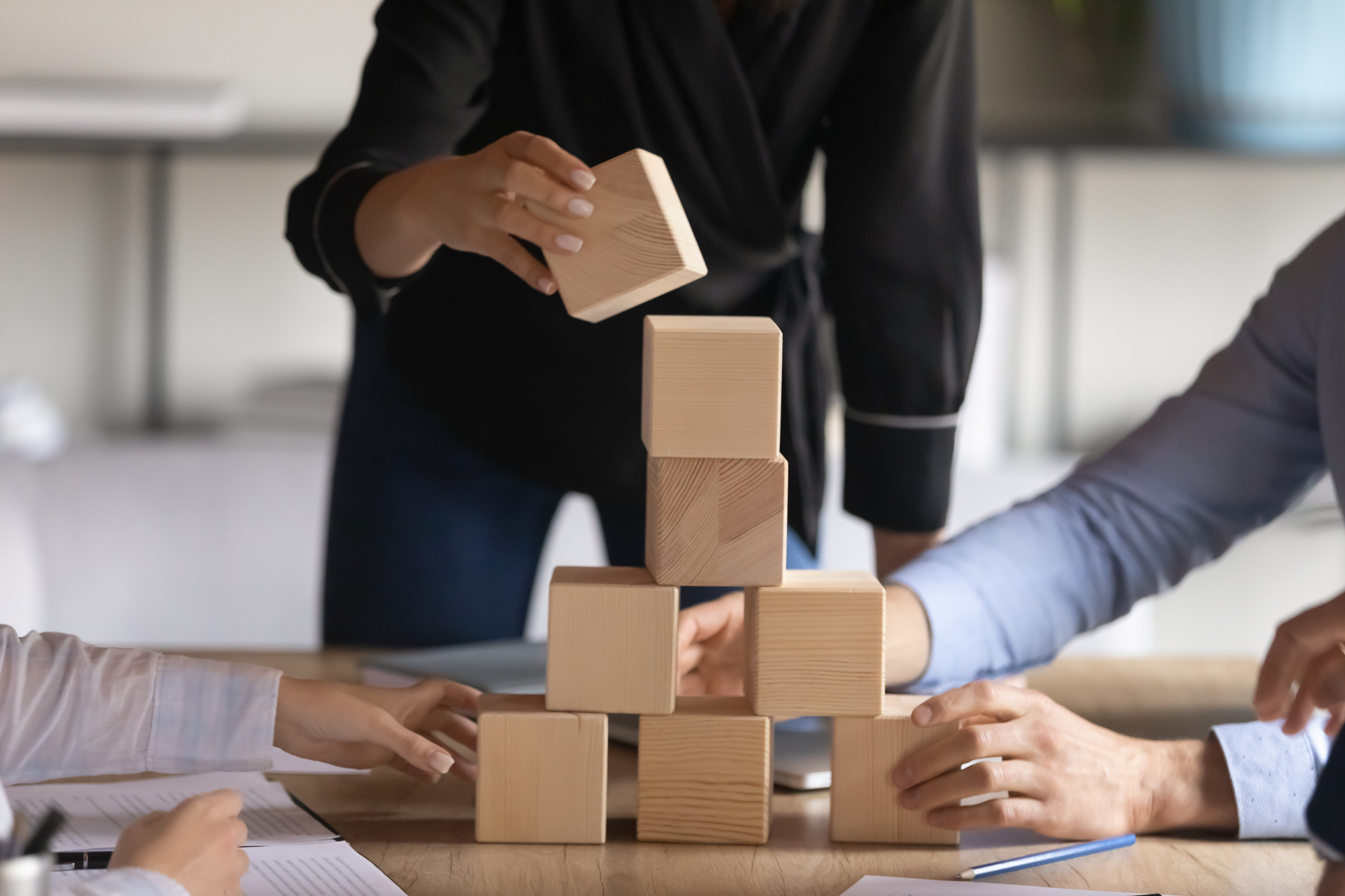 Leadership Capital & Talent Ecosystems